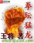 小说：拳坛猛龙，作者：王将
