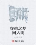 小说：穿越之梦回大明，作者：太上老白