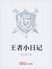 小说：王者小日记，作者：盘古混沌