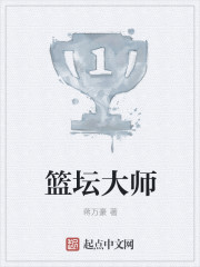 小说：篮坛大师，作者：蒋万豪