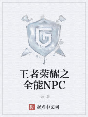 小说：王者荣耀之全能NPC，作者：书虹