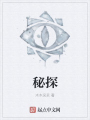小说：秘探，作者：木木呆呆