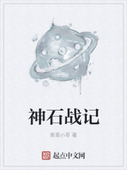 小说：神石战记，作者：卖菜小哥