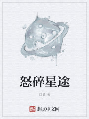 小说：怒碎星途，作者：灯蚀