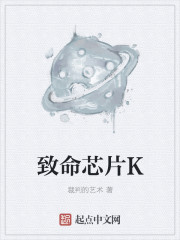 小说：致命芯片K，作者：裁判的艺术