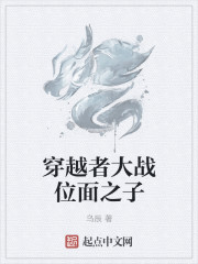 小说：穿越者大战位面之子，作者：乌辰