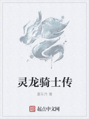 小说：灵龙骑士传，作者：夏车丹