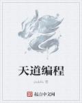 小说：天道编程，作者：public