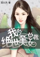 小说：我的绝世美女总裁，作者：流火天