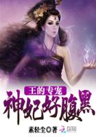 小说：王的专宠：神妃好腹黑，作者：素轻尘