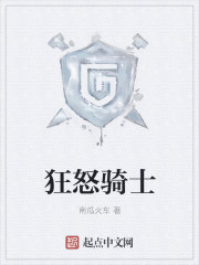 小说：狂怒骑士，作者：南瓜火车