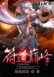 小说：符道巅峰，作者：暗夜冰雷