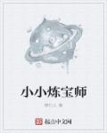 小说：小小炼宝师，作者：修行人