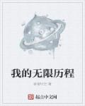 小说：我的无限历程，作者：客留时空