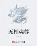 小说：无相魂尊，作者：九断