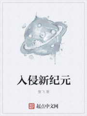 小说：入侵新纪元，作者：壹飞