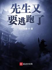 小说：先生又要逃跑了，作者：九灯和善