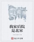 小说：我家后院是北宋，作者：1胖子2胖子