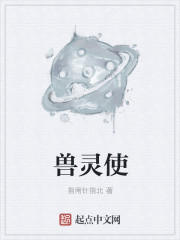 小说：兽灵使，作者：指南针指北