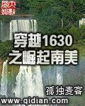 小说：穿越1630之崛起南美，作者：孤独麦客