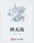 小说：林无敌，作者：读者主任