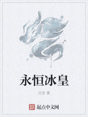 小说：永恒冰皇，作者：庄金