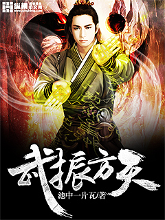 小说：武振方天，作者：池中一片瓦