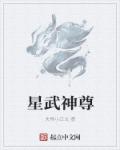 小说：星武神尊，作者：失得小正太