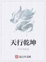 小说：天行乾坤，作者：千年白骨精