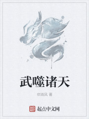 小说：武噬诸天，作者：吹晓风