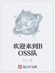 小说：欢迎来到BOSS队，作者：李古丁