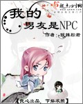 小说：我的男友是NPC，作者：酸辣粉君