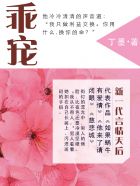 小说：乖宠，作者：丁墨