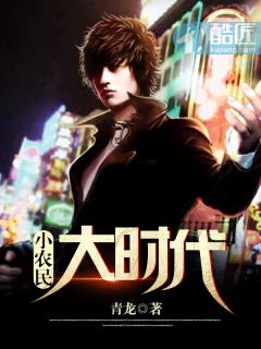 小说：小农民大时代，作者：青龙