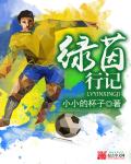 小说：绿茵行记，作者：小小的杯子