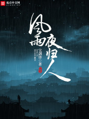 小说：风雨夜归人，作者：宝剑锋