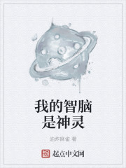 小说：我的智脑是神灵，作者：油炸麻雀