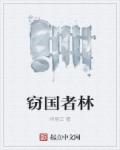 小说：窃国者林，作者：咚居正