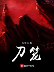 小说：刀笼，作者：虫梦