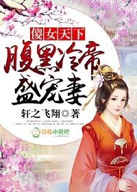 小说：傻女天下，腹黑冷帝盛宠妻，作者：轩之飞翔