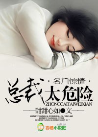 小说：名门惊情，总裁太危险，作者：甜甜心如