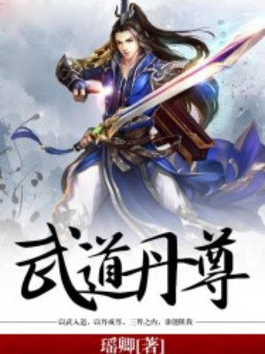 小说：武道丹尊，作者：瑶卿