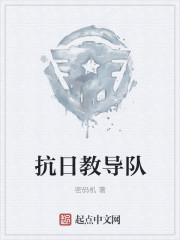 小说：抗日教导队，作者：密码机