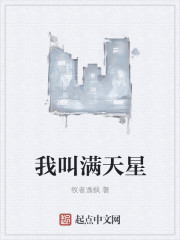 小说：我叫满天星，作者：牧者逸枫