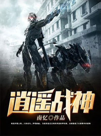 小说：护国上将，作者：周天张小玉
