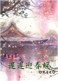 小说：红楼之迟迟迎春暖，作者：寒景柔