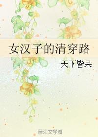 小说：女汉子的清穿路，作者：天下皆呆