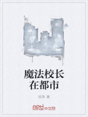 小说：魔法校长在都市，作者：琼萍