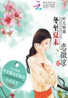 小说：时光倾城：冬至夏末恋微凉，作者：小幺幺子