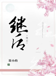 小说：继后，作者：简小酌